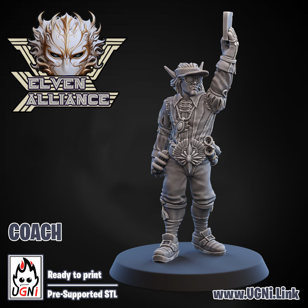 Elven Alliance - Coach | UGNI Miniatures | Resin