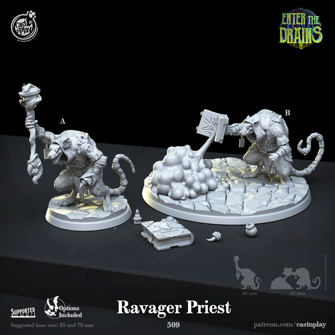Ravager Priest - Enter the Drains | Cast N Play | Resin – 3D Creatables